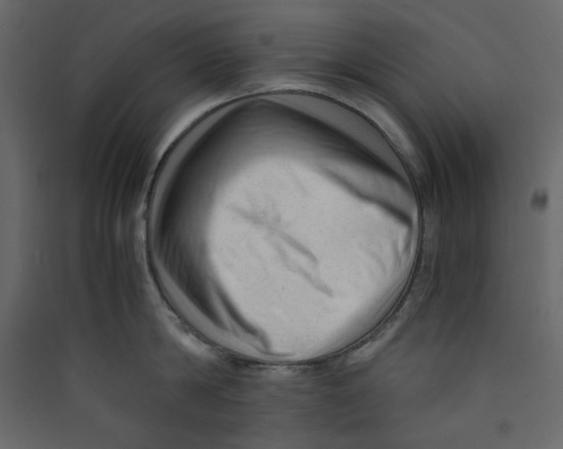 X0000089450814200707131925