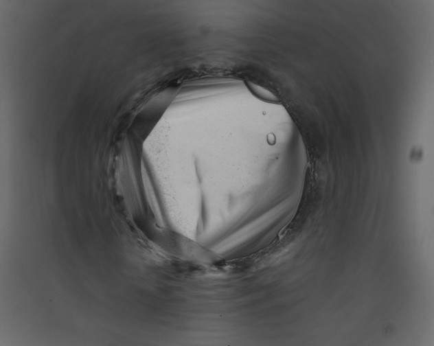 X0000089450818200707131925