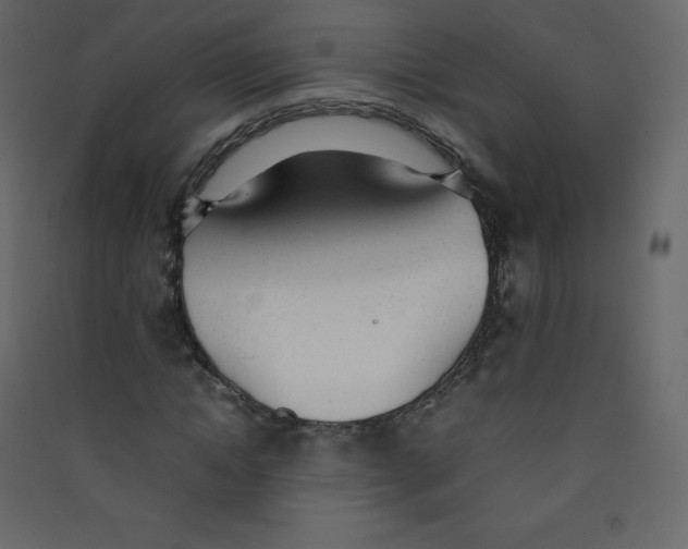 X0000089450822200707131925