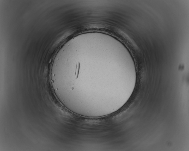 X0000089450825200707131925