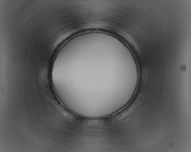 X0000089450826200707131925