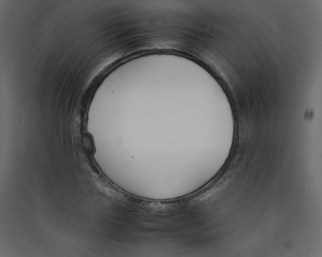 X0000089450827200707131925