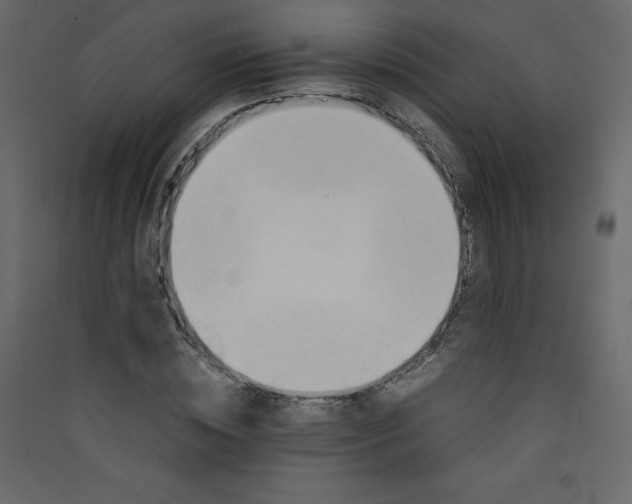 X0000089450828200707131925