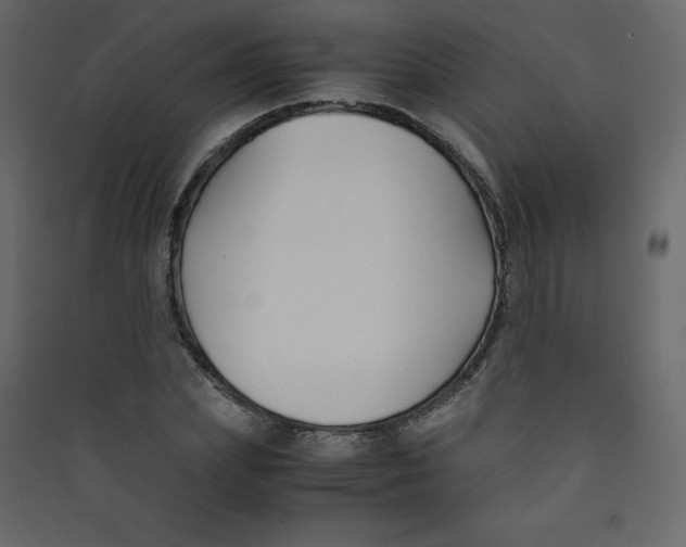 X0000089450831200707131925