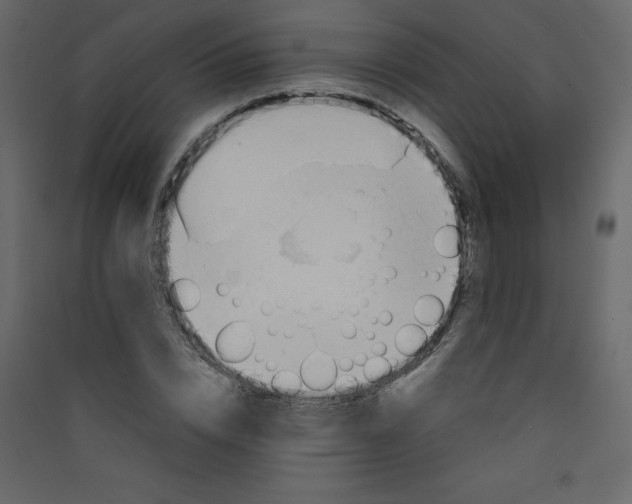 X0000089450832200707131925