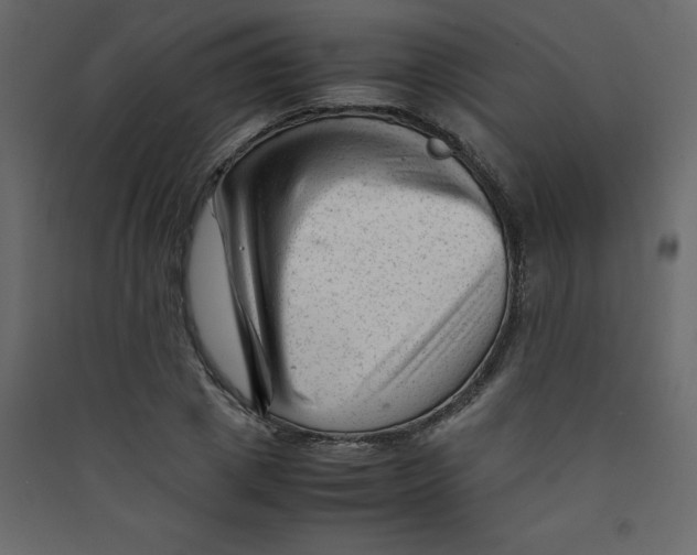 X0000089450833200707131925