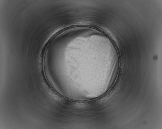 X0000089450835200707131925