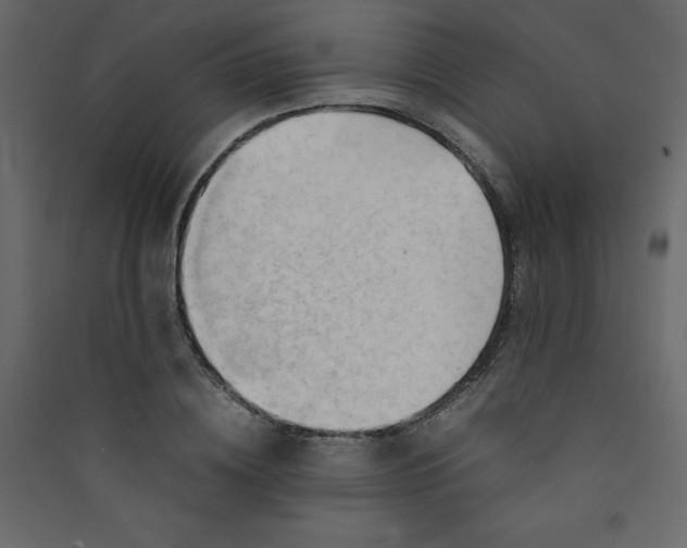 X0000089450836200707131925