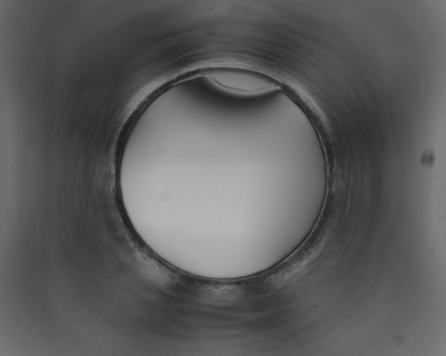 X0000089450837200707131925