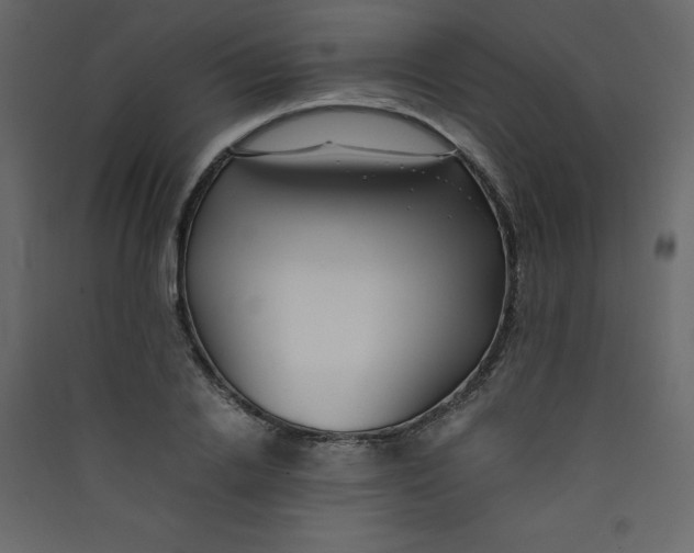 X0000089450838200707131925