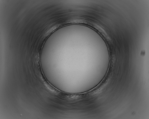 X0000089450841200707131925