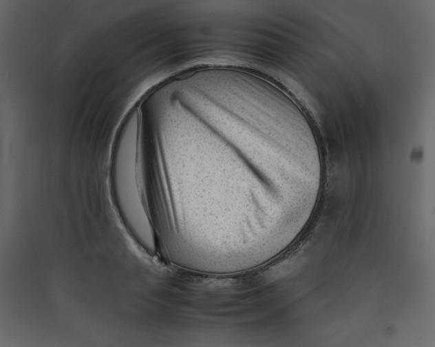 X0000089450845200707131925