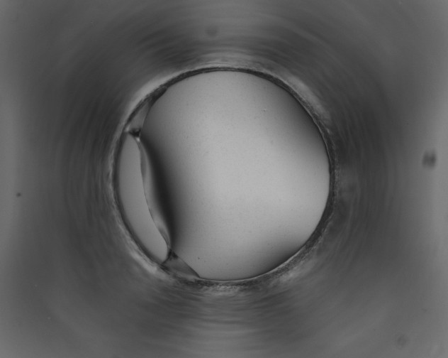 X0000089450846200707131925