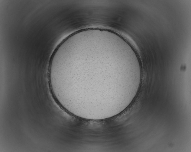 X0000089450847200707131925