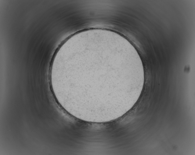 X0000089450848200707131925