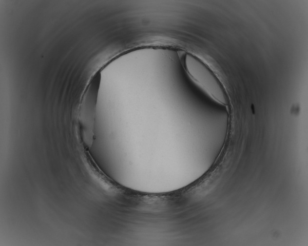 X0000089450850200707131925