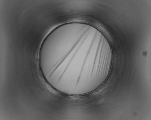 X0000089450852200707131925