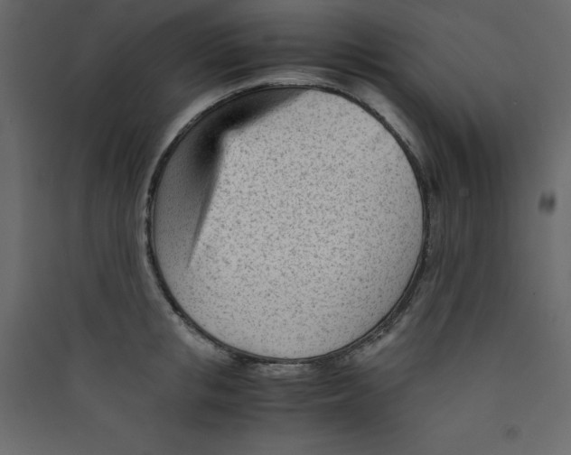 X0000089450853200707131925