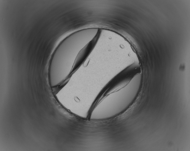 X0000089450854200707131925