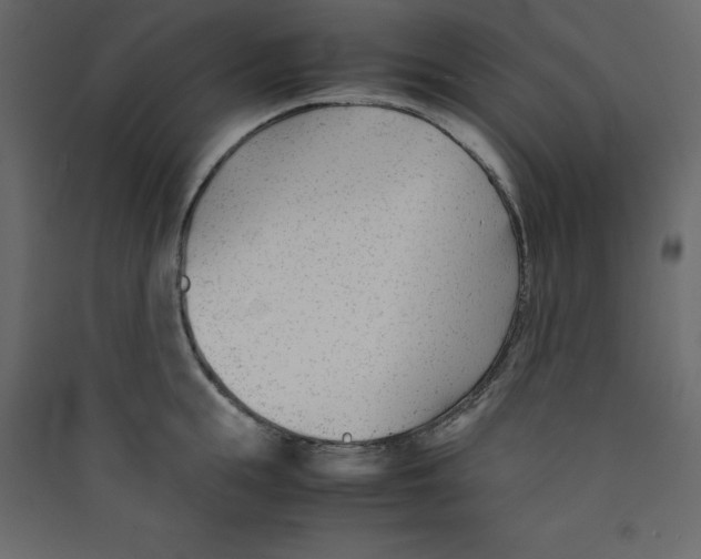 X0000089450855200707131925