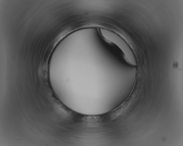 X0000089450858200707131925