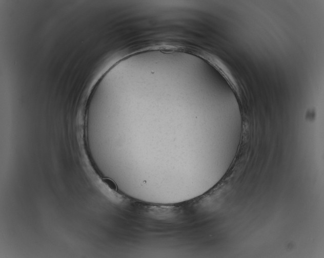 X0000089450859200707131925