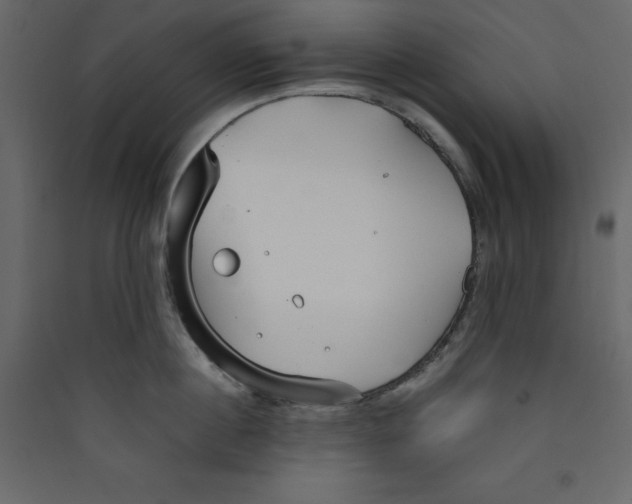 X0000089450860200707131925