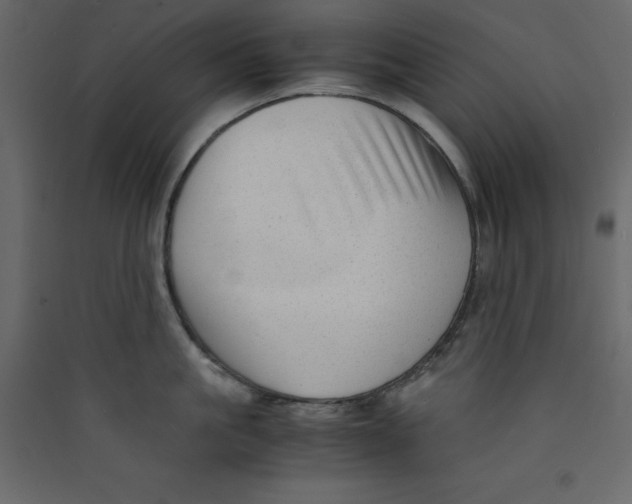 X0000089450861200707131925