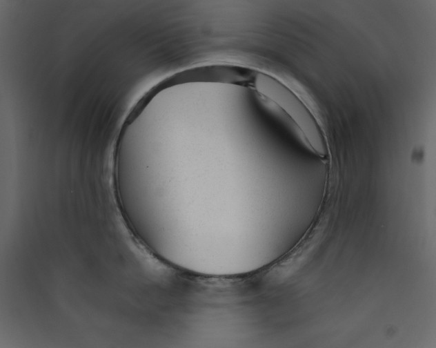 X0000089450862200707131925