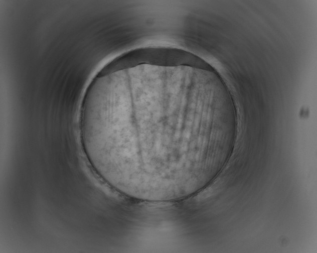 X0000089450864200707131925