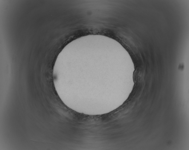 X0000089450865200707131924