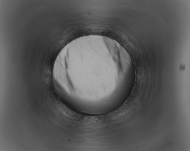 X0000089450866200707131924