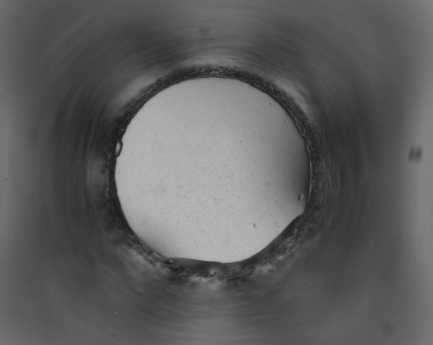 X0000089450872200707131924