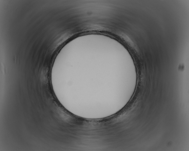 X0000089450873200707131924