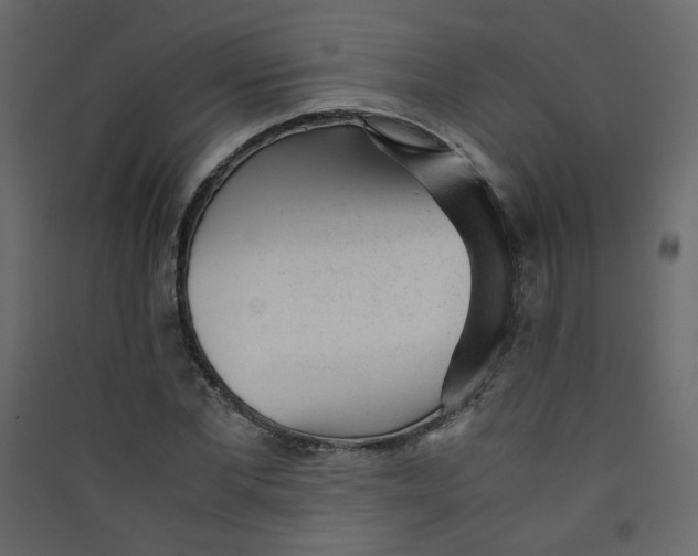 X0000089450877200707131924