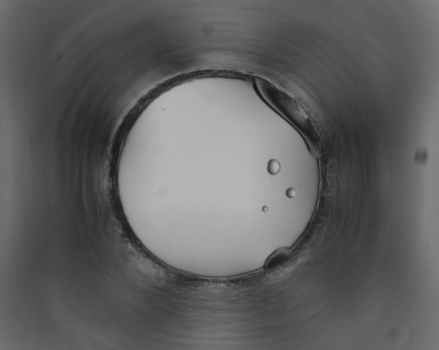 X0000089450880200707131924