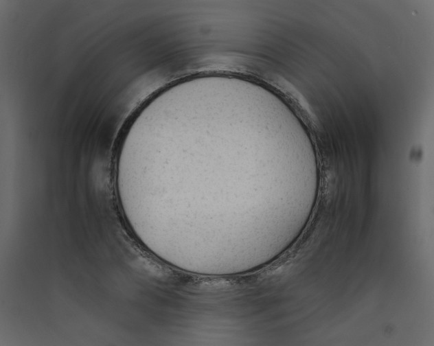 X0000089450882200707131924