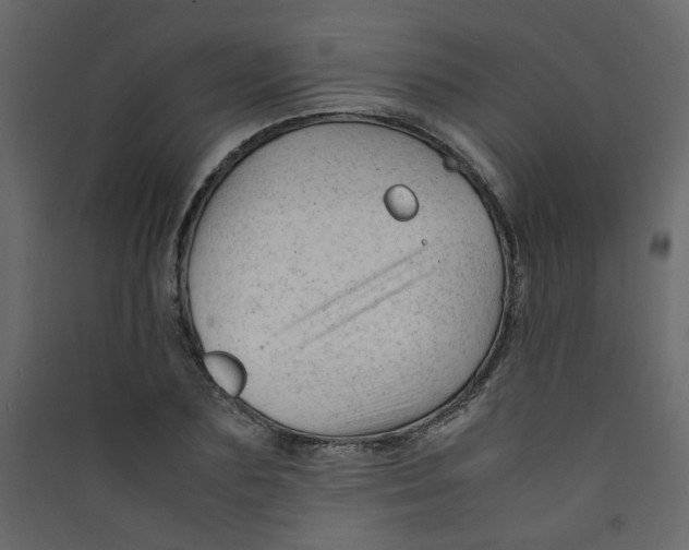 X0000089450883200707131924