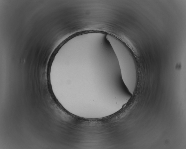 X0000089450884200707131924