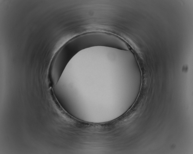 X0000089450885200707131924