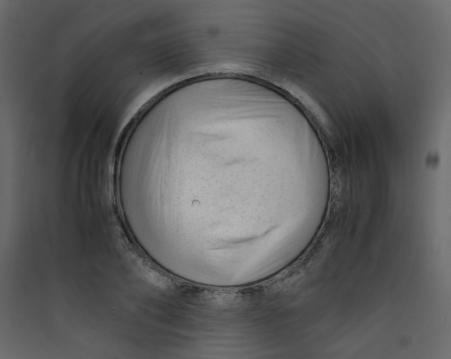 X0000089450886200707131924