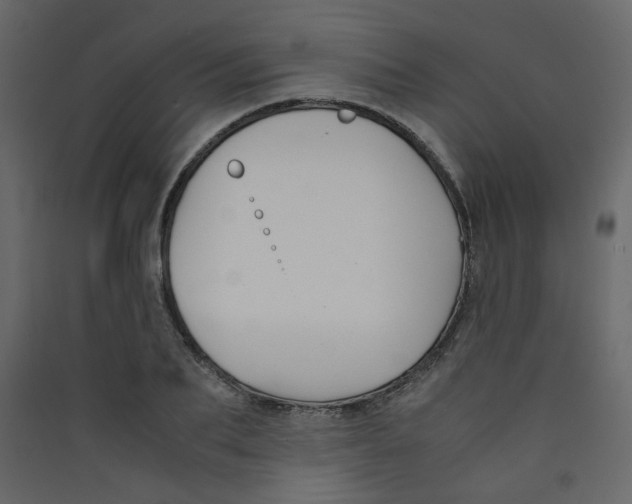 X0000089450887200707131924