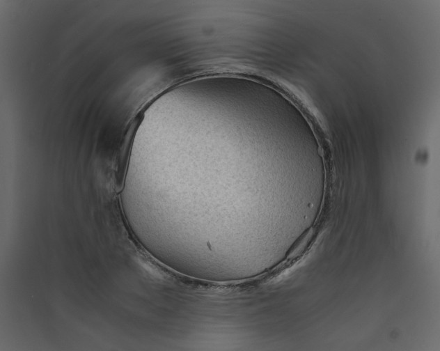 X0000089450889200707131924