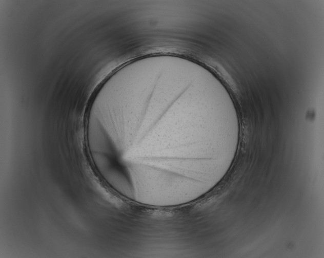 X0000089450890200707131924