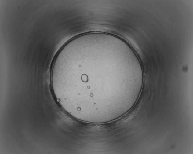 X0000089450891200707131924