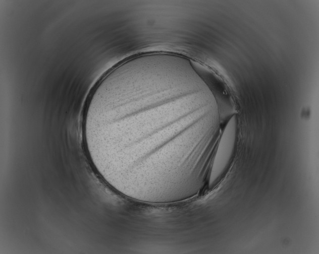 X0000089450892200707131924