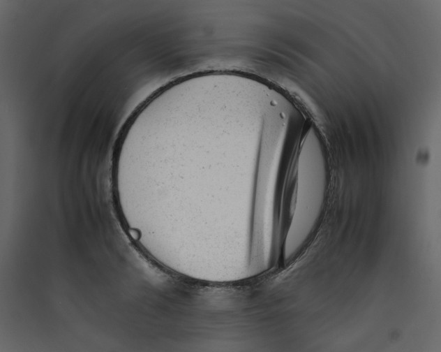 X0000089450894200707131924