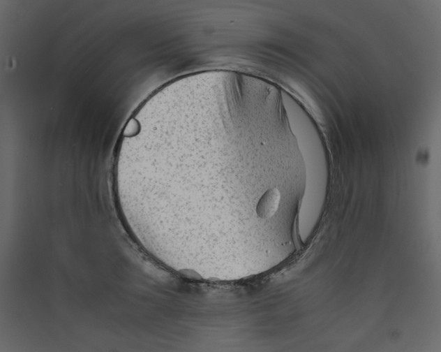 X0000089450899200707131924