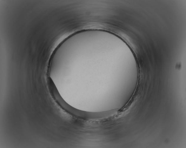 X0000089450901200707131924