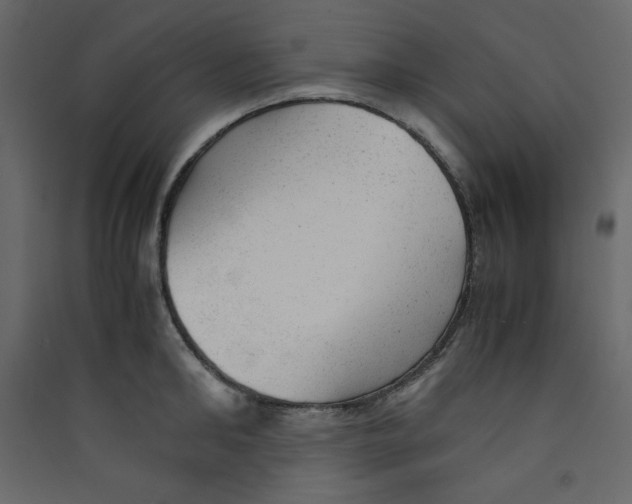 X0000089450902200707131924